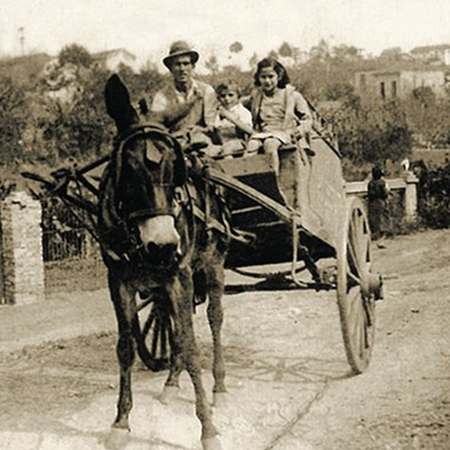 imgs_DESTAQUE_historia_450x450PX_home_site_AMOCITY.png